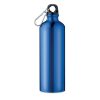 Sticlă din aluminiu cu carabină - Big Moss, Albastru