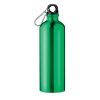 Sticlă din aluminiu cu carabină - Big Moss, Verde